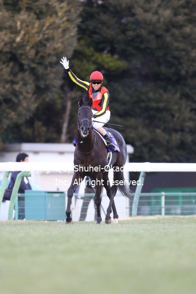 第41回ホープフルステークス 北村友一騎乗・クロワデュノール優勝