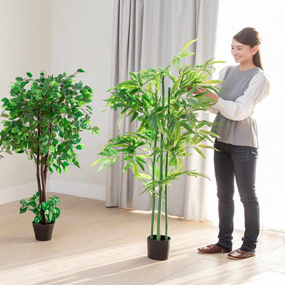 楽天市場】人工観葉植物 光触媒 ベンジャミン 2本セット フェイク