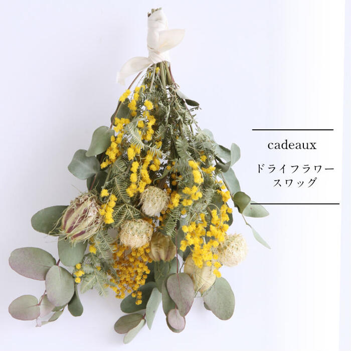 楽天市場】送料無料（一部地域のぞく）【flower gift】／人気のミモザ