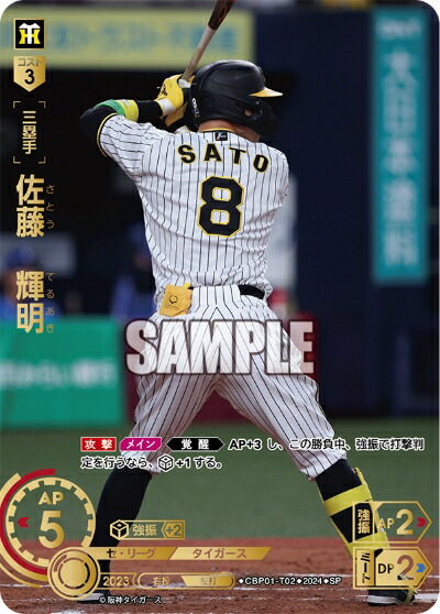 cbp01-t_02-sp.jpg