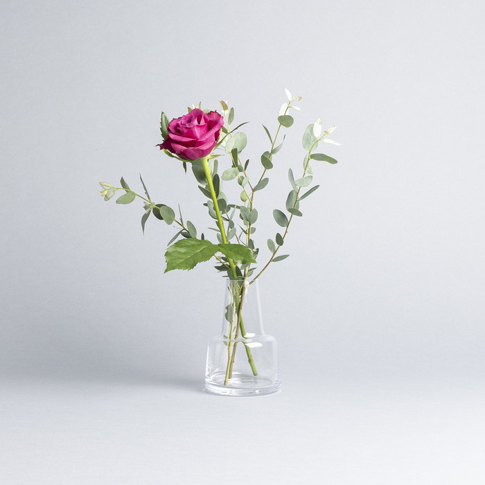 楽天市場】【日本未発売】HOLMEGAARD FLORA VASE ホルムガード