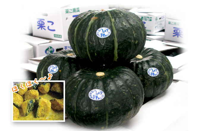 楽天市場】栗こかぼちゃ 4〜6玉入[約8kg] 送料無料 つがりあん