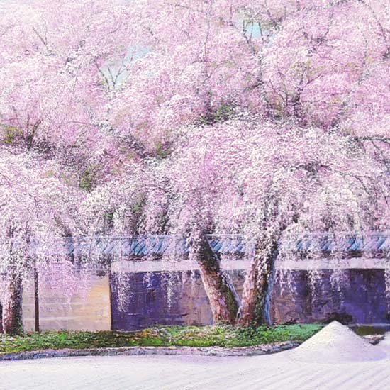 楽天市場】絵画 油絵 高台寺の桜 F20号 （木村由記夫） 送料無料