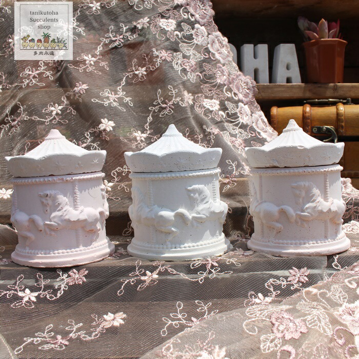touki0241.jpg