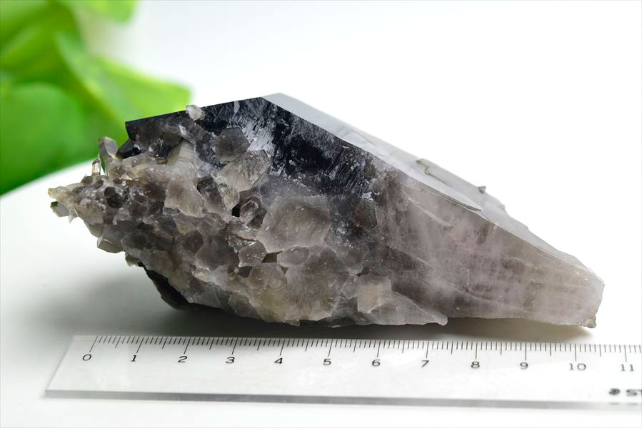 楽天市場】□アーカンソー州産□黒水晶 スモーキークォーツ クラスター