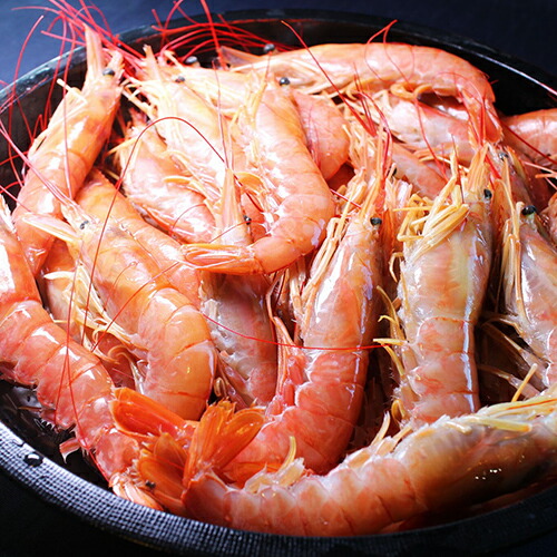 楽天市場】特大天然赤エビ 2kg（約30尾）【送料無料】赤えび 赤エビ