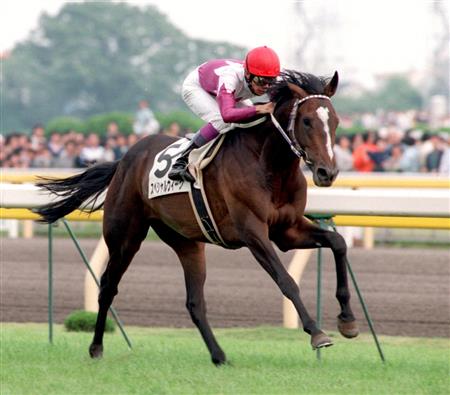 98年ダービー馬スペシャルウィーク、放牧中の事故で死ぬ ｜競馬