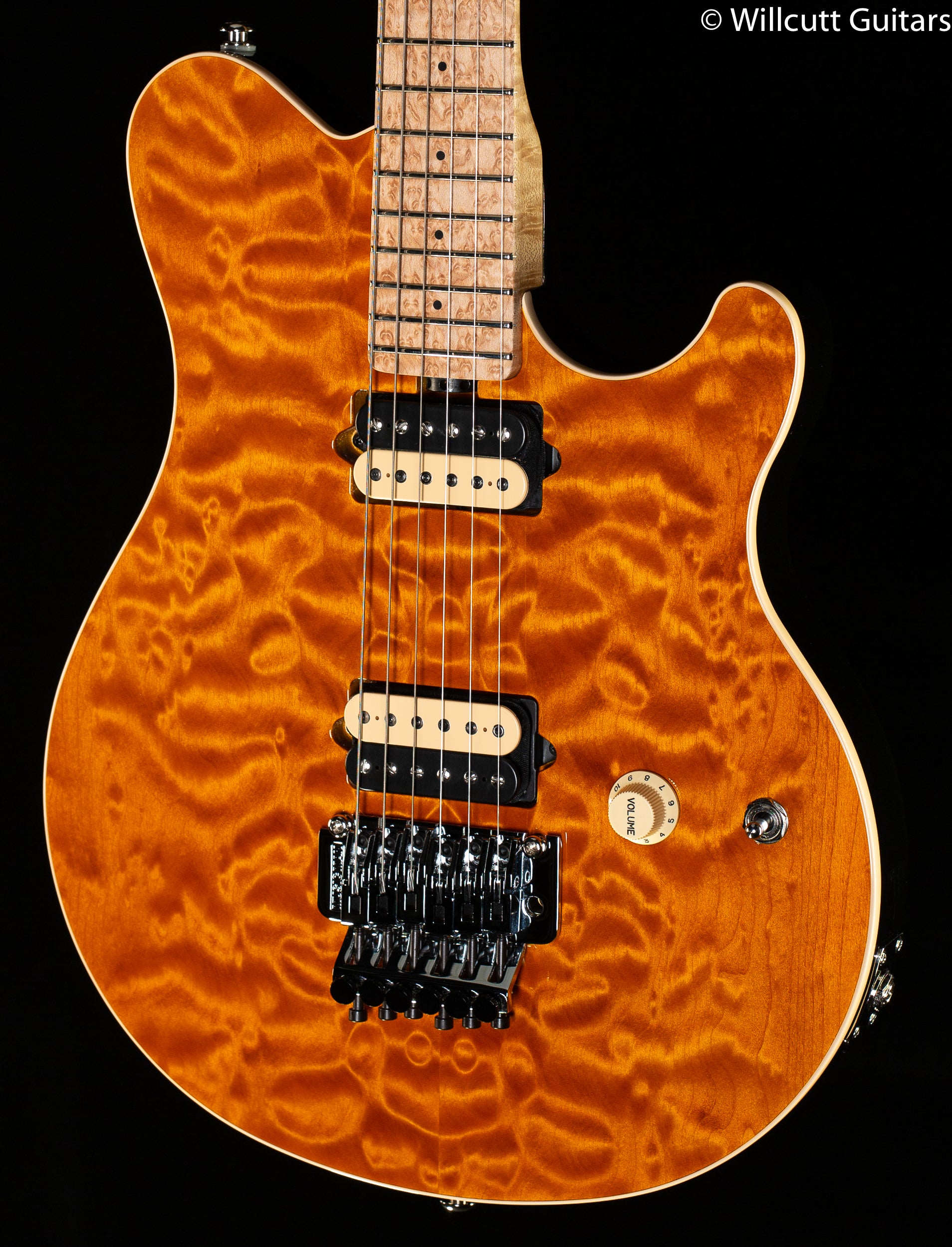 Ernie Ball Music Man Axis Trans Gold Quilt - Willcutt Guitars
