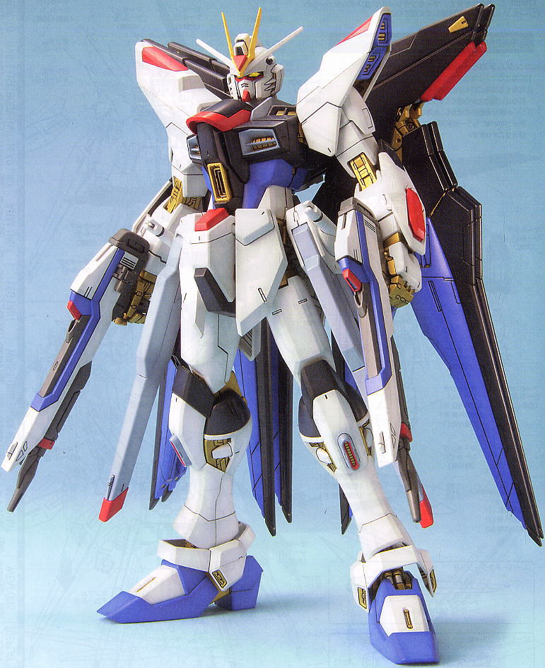ZGMF-X20A ストライクフリーダムガンダム (MG) (ガンプラ) - ホビー