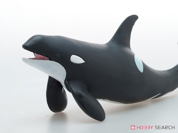 シャチ ビニールモデル (動物フィギュア) - ホビーサーチ おもちゃ