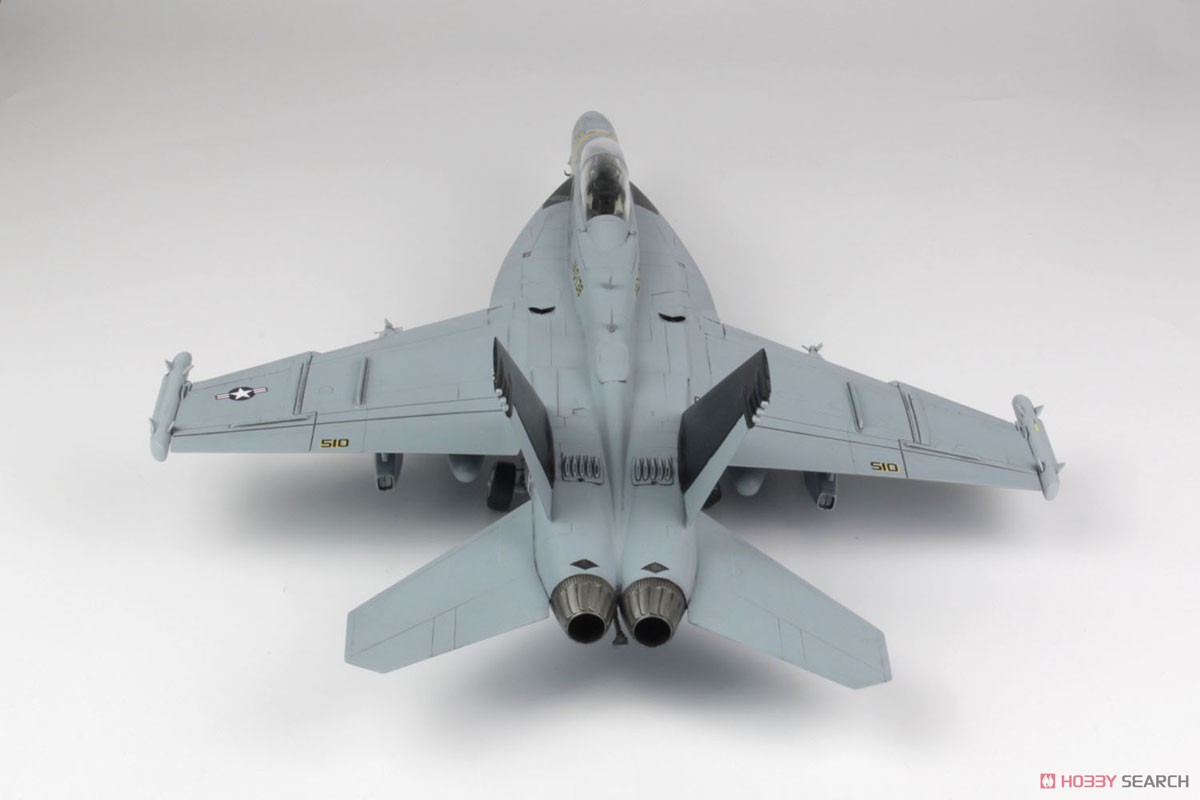 アメリカ海軍 電子戦機 EA-18G グラウラー VAQ-138 イエロージャケッツ