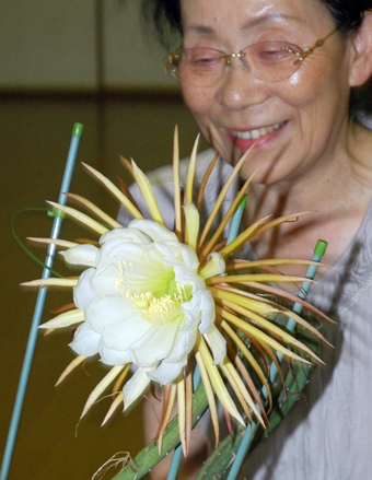 赤穂民報｜妖艶で高貴な「夜の女王」