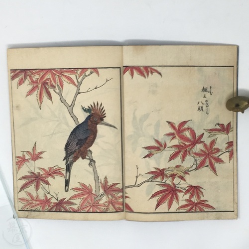 幕末屋 • 写真花鳥図会 6冊揃 北尾重政画 (日本の絵本 ) • 希少な本と写真