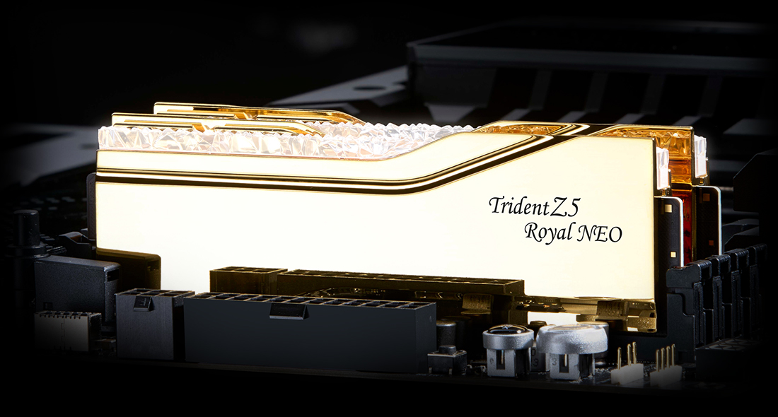 F5-6000J2836F48GX2-TR5NG - Overview - G.SKILL International