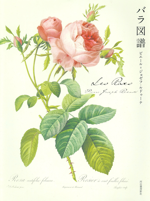 Les Roses バラ図譜 :ピエール=ジョゼフ・ルドゥーテ | 河出