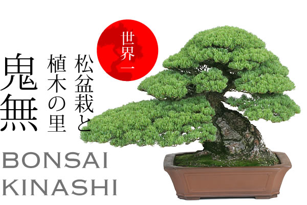 世界一の松盆栽と植木の里 鬼無