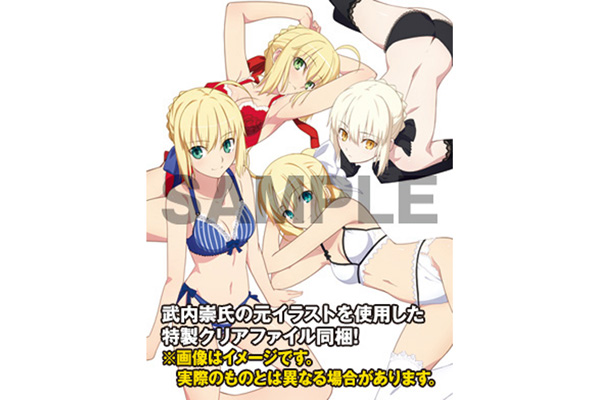ランジェリースタイル セイバー【スペシャルプレミアムエディション
