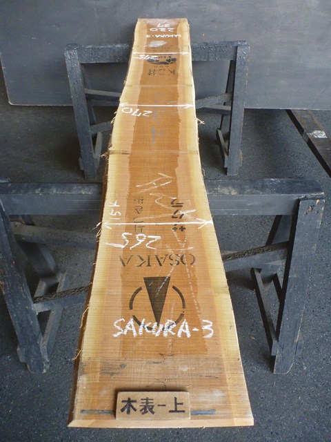 sakura3-3.jpg