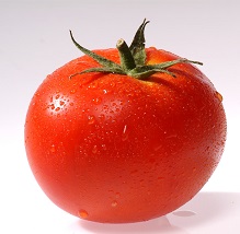 How to protect tomatoes from the effect of the heat - Global