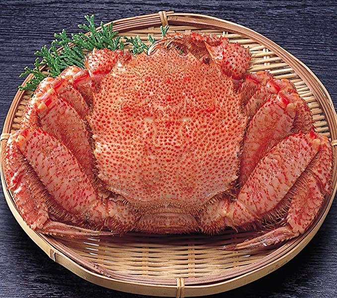 Hokkaido Horsehair Crab 毛蟹 北海道産 (Pre-order Item) – HANAMARU