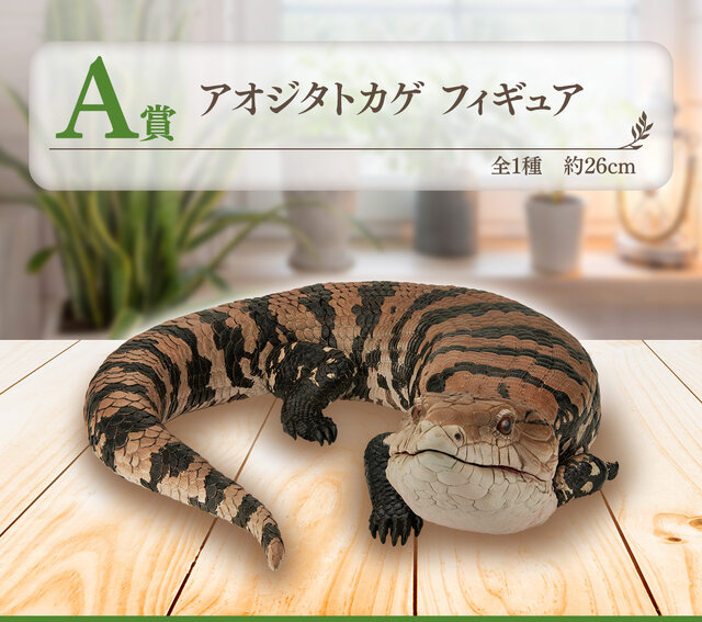 リアルで可愛い「一番くじ 爬虫類＆両生類」第2弾！ラストワン賞は