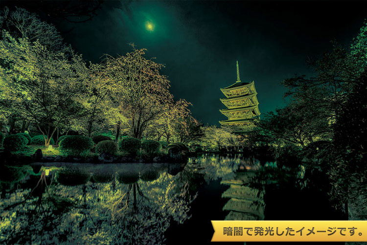 YAM-10-1299 KAGAYA 月夜に咲く（京都） 1000ピース ［CP-SK