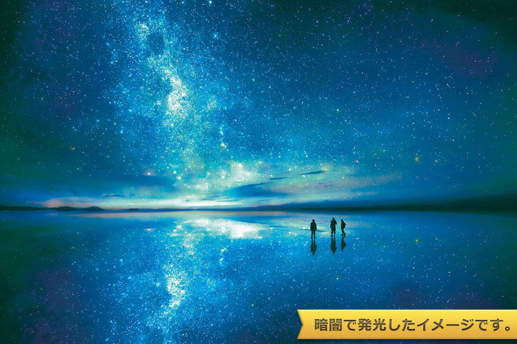 EPO-12-508 風景 星空のウユニーボリビア 1000ピース エポック社 の