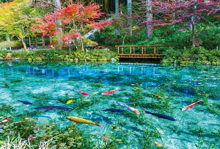 BEV-51-293 風景 色彩輝くモネの池 1000ピース ビバリー の商品詳細