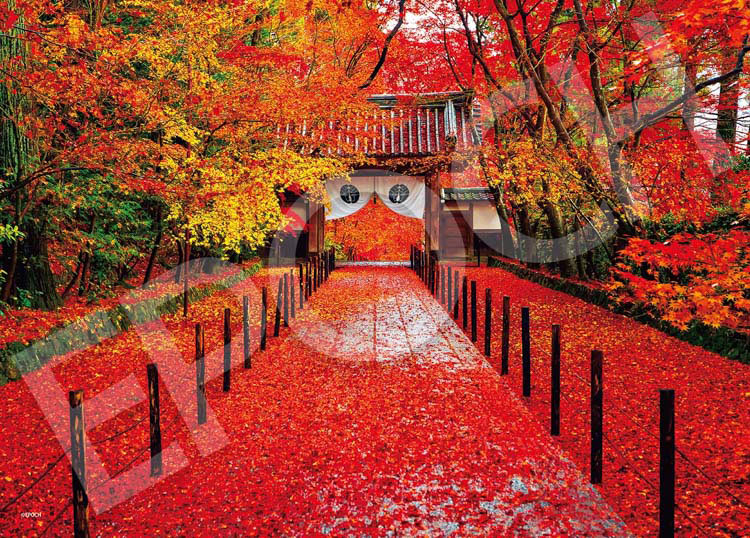 EPO-06-302s 風景 深秋の光明寺－京都 500ピース エポック社 の商品