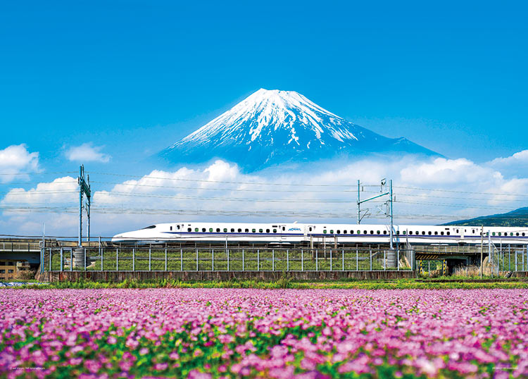 YAM-05-1016 風景 れんげの花と富士山（静岡） 500ピース ［CP-WH