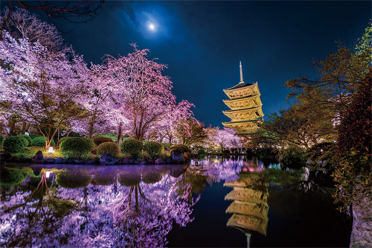 YAM-10-1299 KAGAYA 月夜に咲く（京都） 1000ピース ［CP-SK