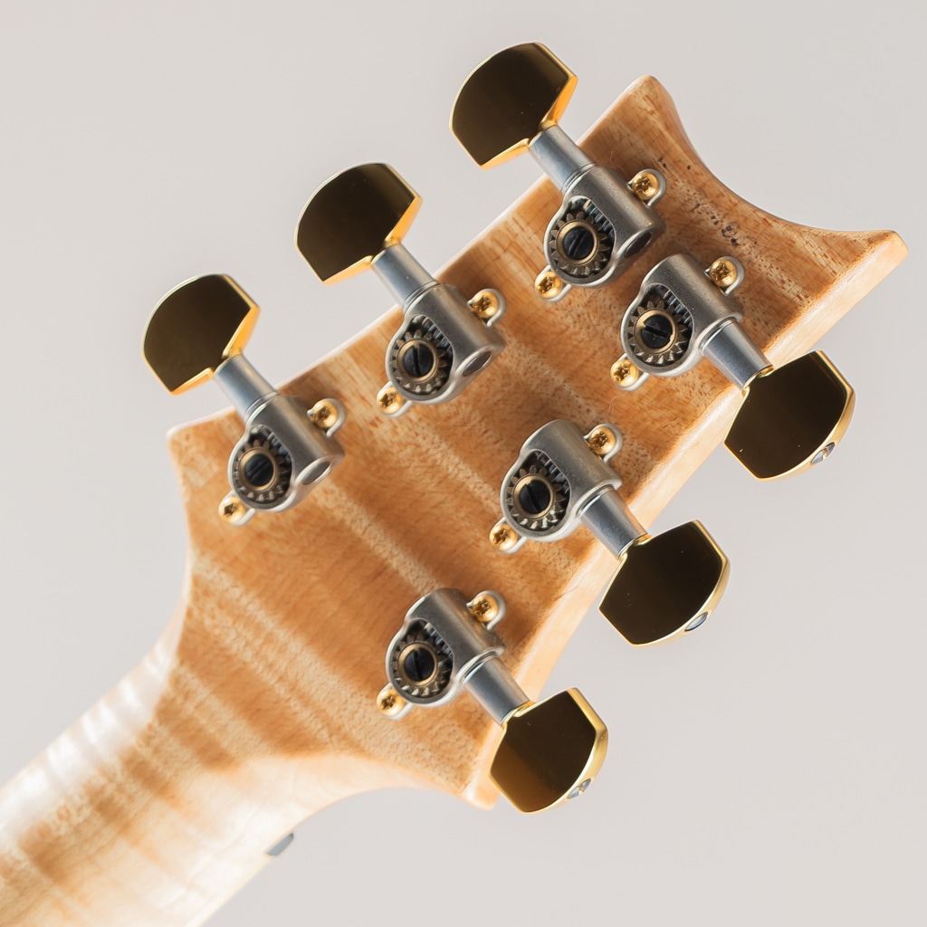 Wood library P245 Blue Fade w/ Flame Maple Neck 2015: エレキギター