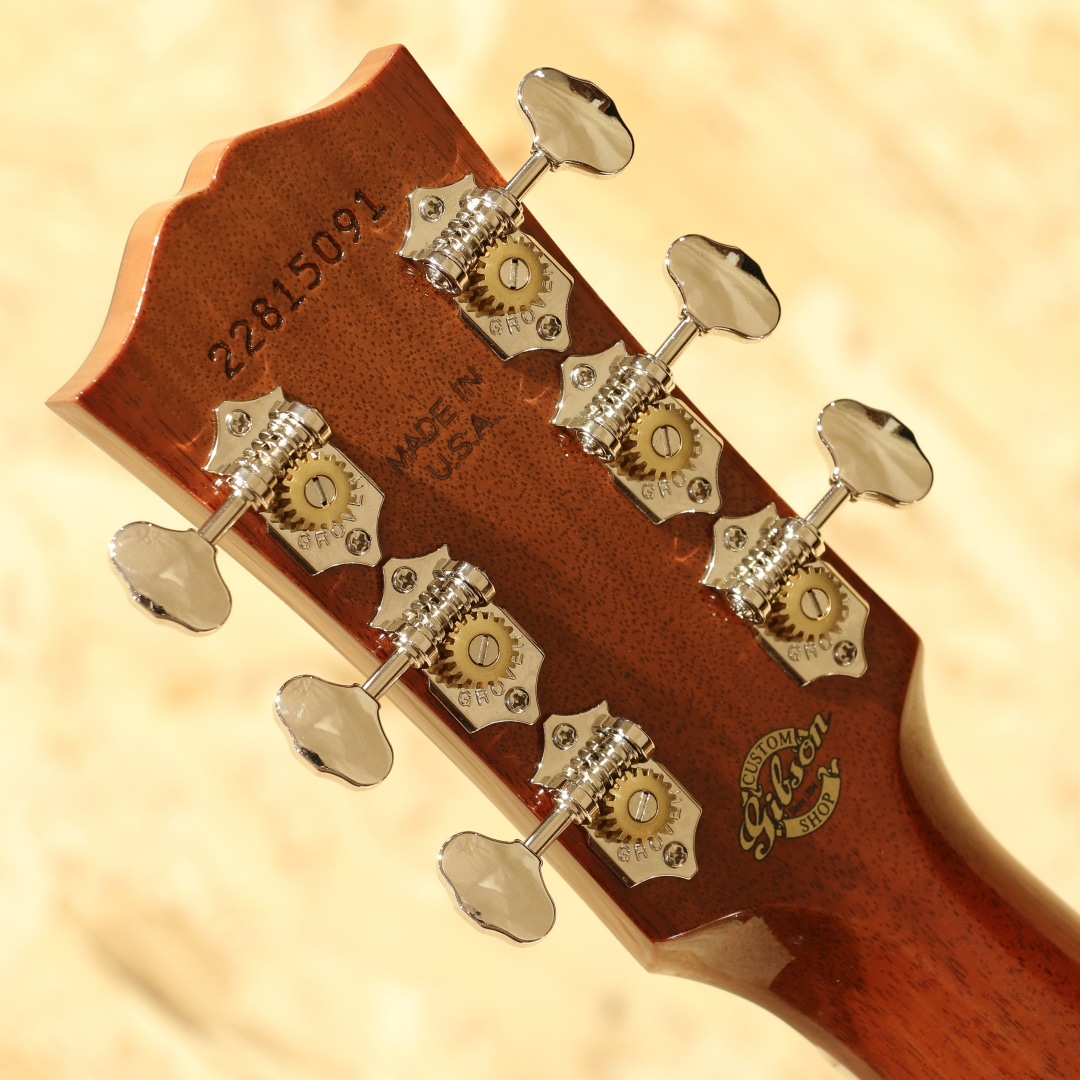 Hummingbird Koa Carpathian Spruce Honeyburst: アコースティック