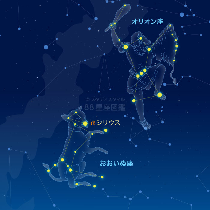 おおいぬ座｜やさしい88星座図鑑