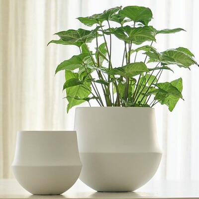 シルエットが美しいマット素材の鉢カバー｜WEBコラム｜商品案内｜杉田