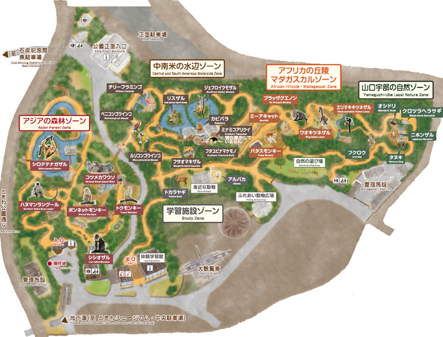 ときわ動物園 - ときわ公園|山口県宇部市