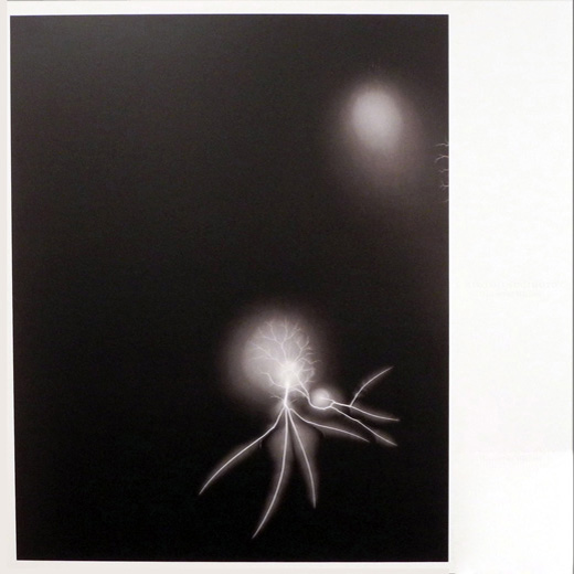 歴史の歴史「放電場 057」Lightning Fields 057|杉本博司Hiroshi Sugimoto