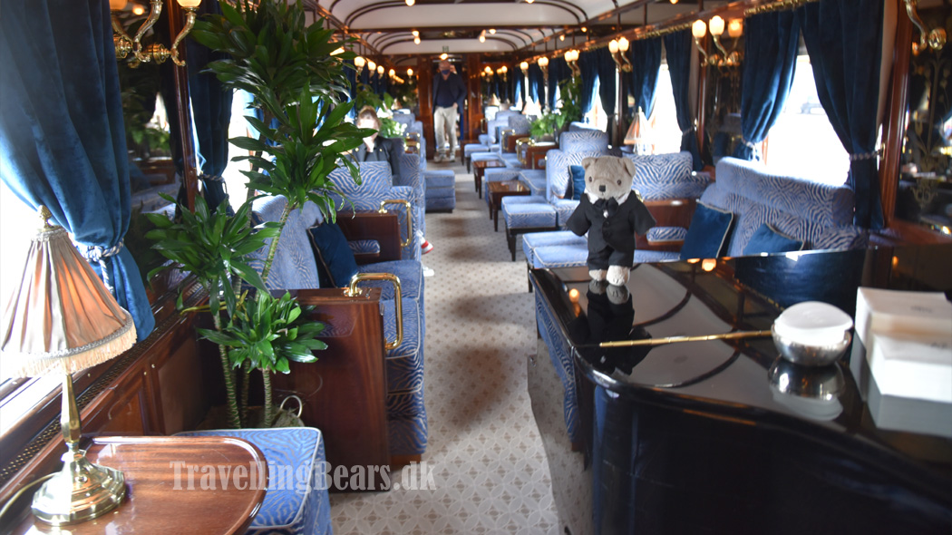 Travelling Bears exploring the World