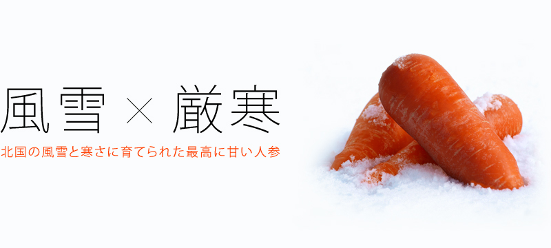 深浦町について｜ふかうら雪人参