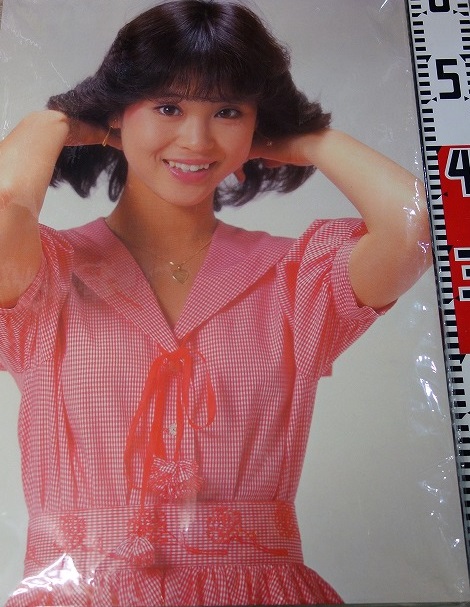 宅配買取】松田聖子の木製パネルポスター ｜古本買取店エーブック