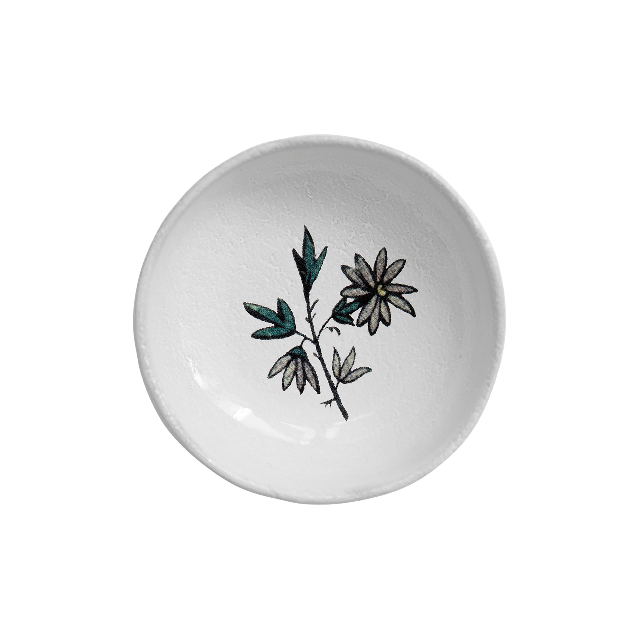 Astier de Villatte | アスティエ ド ヴィラット
