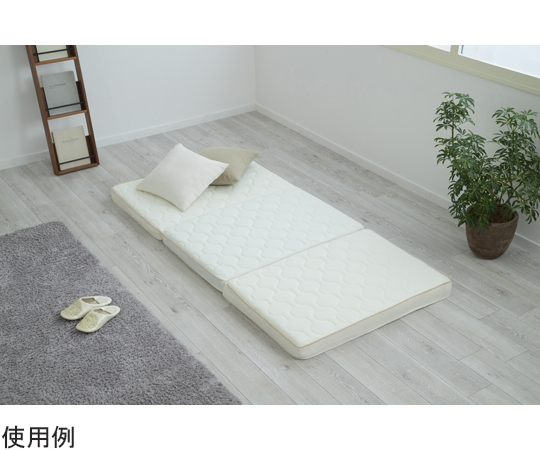 65-9227-38 エアリーハイブリッドマットレス センターフィット HBC90-S