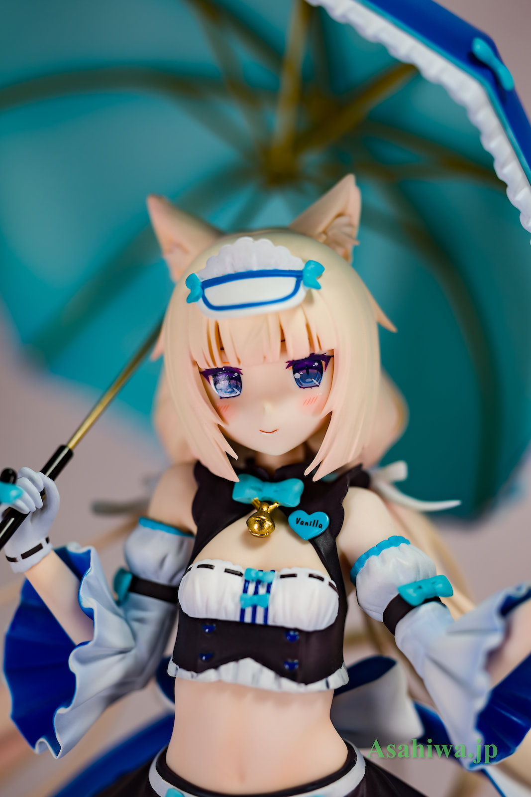 ネコぱら ココナツ 屏風 色紙 ネコぱら ココナツ レースクイーン 1/7