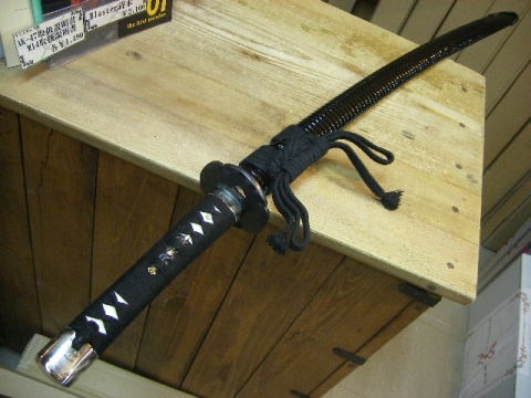 t20090218f.JPG