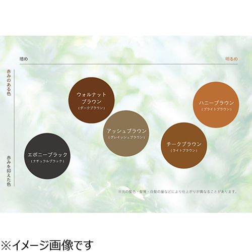 ルプルプ（LPLP） essence カラートリートメント アッシュブラウン