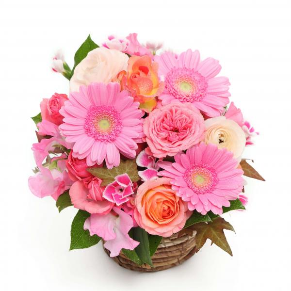 I am cute-アイアムキュート- - flower shop だんだん畑 | 麻布十番