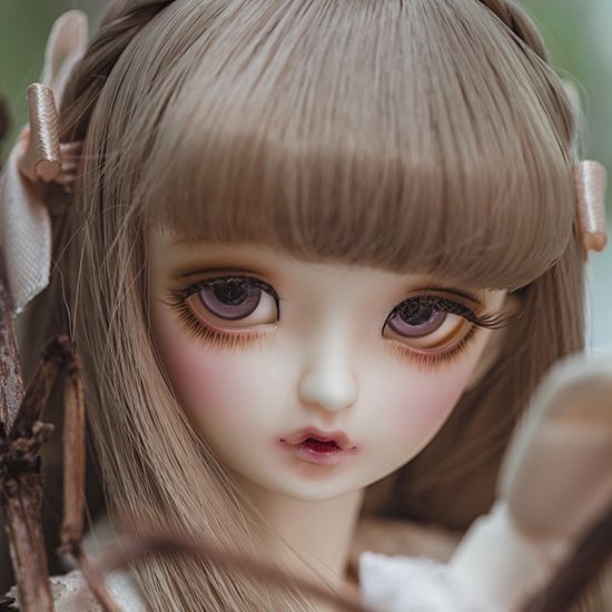 Cutie40 [SoDam] Basic｜DOLK（ドルク）