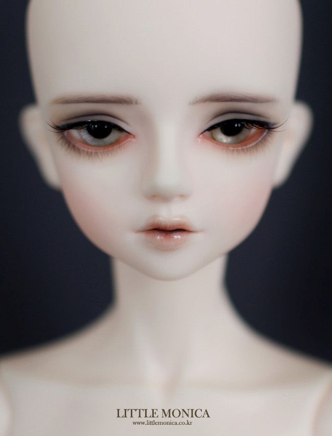 Little Kliff｜DOLK（ドルク）