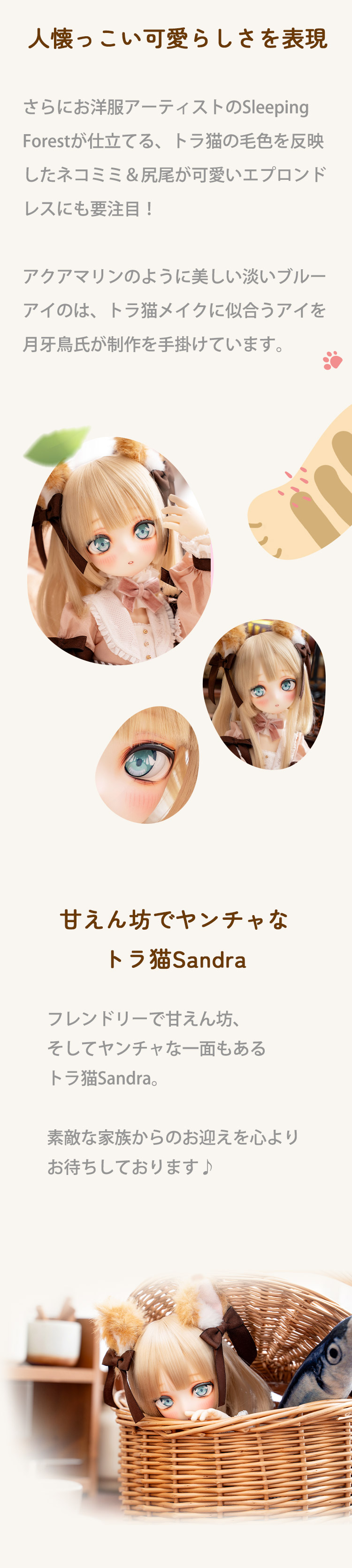 DOLK×MYOU DOLL | Sandra トラ猫 ver. limited 特設 - DOLK（ドルク）