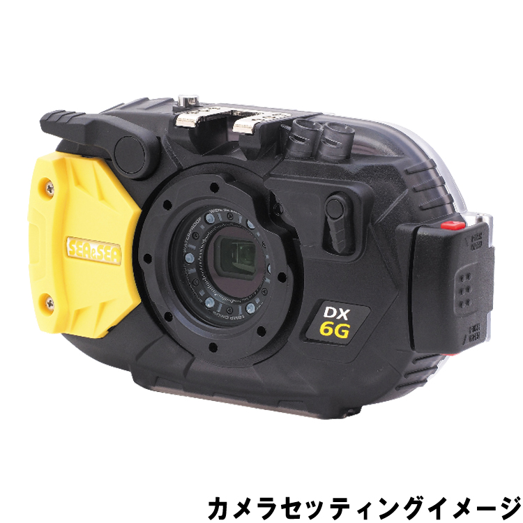 mic21ダイビングショップ[ シーアンドシー SEA&SEA ] DX-6G ハウジング